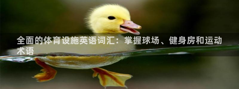 意昂3官方：全面的体育设施英语词汇：掌握球场、健身房