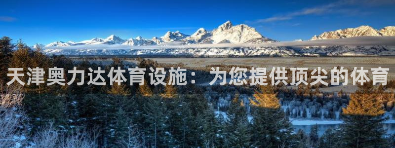 意昂体育3官方客服电话：天津奥力达体育设施：为您提供