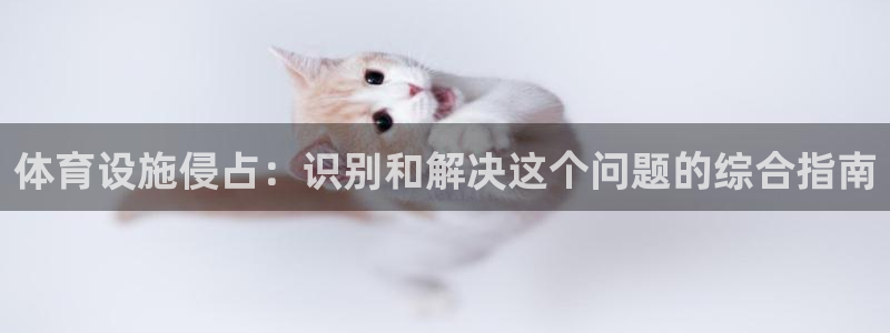 意昂3官网：体育设施侵占：识别和解决这个问题的综合指
