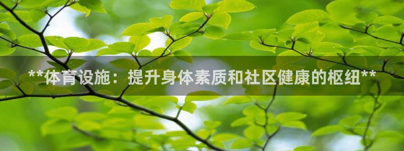 意昂体育3平台是正规平台吗知乎：**体育设施：提升身
