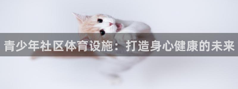 海南意昂体育3发展怎么样：青少年社区体育设施：打造身