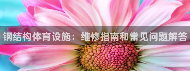 意昂体育3：钢结构体育设施：维修指南和常见问题解答