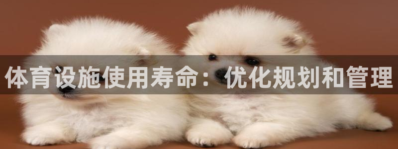 意昂体育3软件：体育设施使用寿命：优化规划和管理