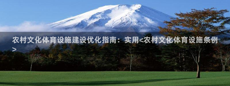 意昂3集团logo：农村文化体育设施建设优化指南：实
