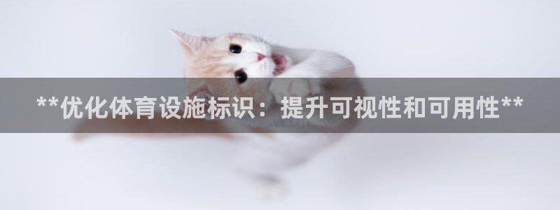 意昂体育3娱乐：**优化体育设施标识：提升可视性和可