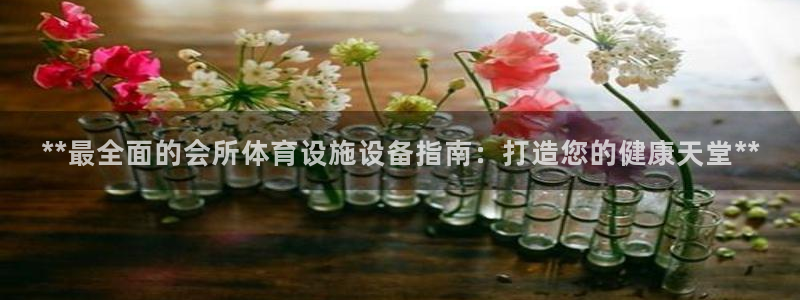 意昂体育3注册：**最全面的会所体育设施设备指南：打