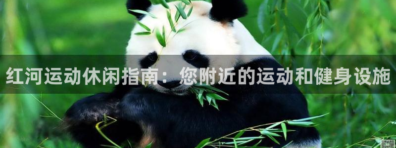 意昂体育3平台注册要钱吗是真的吗：红河运动休闲指南：
