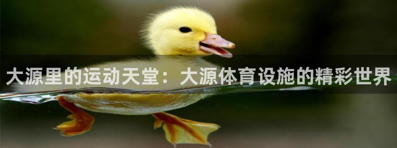 意昂3代理：大源里的运动天堂：大源体育设施的精彩世界