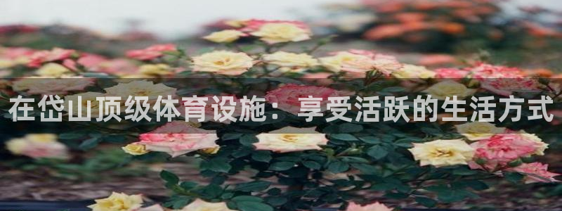 意昂3官方：在岱山顶级体育设施：享受活跃的生活方式