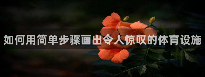 意昂体育3娱乐：如何用简单步骤画出令人惊叹的体育设施