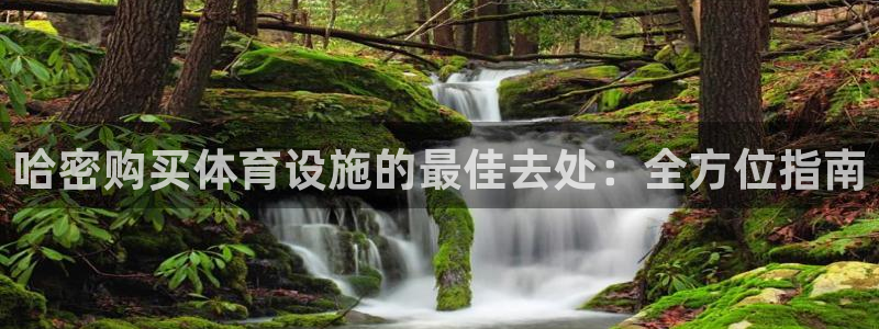 意昂体育3招商电话号码是多少：哈密购买体育设施的最佳