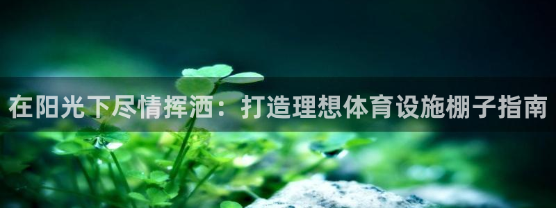 意昂3官网：在阳光下尽情挥洒：打造理想体育设施棚子指