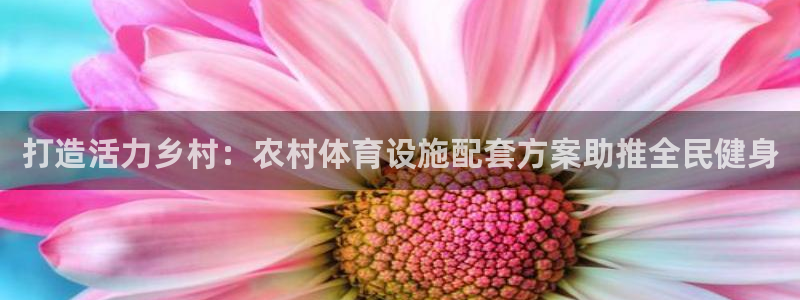意昂体育3平台：打造活力乡村：农村体育设施配套方案助
