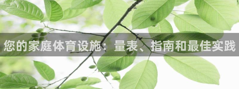 意昂体育3开户：您的家庭体育设施：量表、指南和最佳实