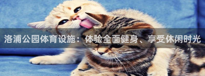 意昂3娱乐下载：洛浦公园体育设施：体验全面健身、享受