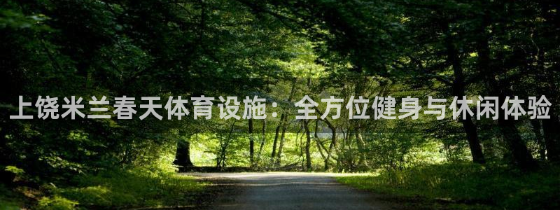 意昂3新能源