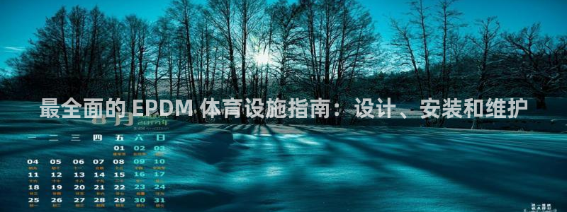 意昂3集团E.ON：最全面的 EPDM 体育设施指南