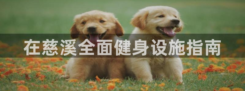 意昂体育3招商电话号码是多少号：在慈溪全面健身设施指