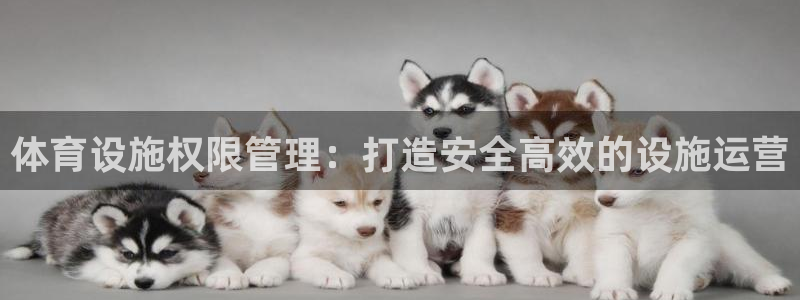 意昂体育3招商电话号码查询：体育设施权限管理：打造安