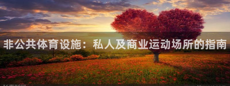 意昂集团官网：非公共体育设施：私人及商业运动场所的指