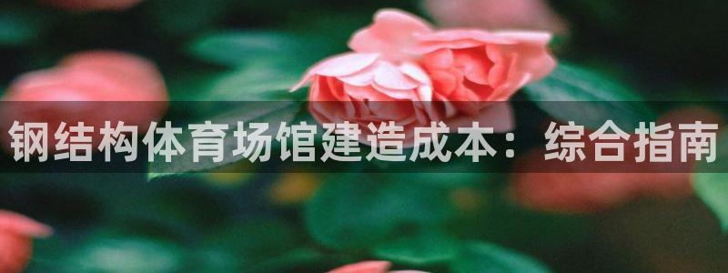 海南意昂体育3：钢结构体育场馆建造成本：综合指南