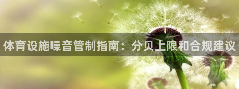 意昂体育3软件：体育设施噪音管制指南：分贝上限和合规