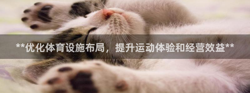 意昂3官方：**优化体育设施布局，提升运动体验和经营
