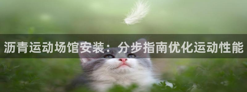 意昂平台体育：沥青运动场馆安装：分步指南优化运动性能
