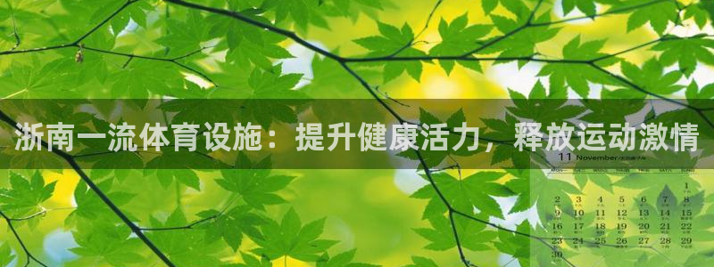 意昂体育3开户：浙南一流体育设施：提升健康活力，释放