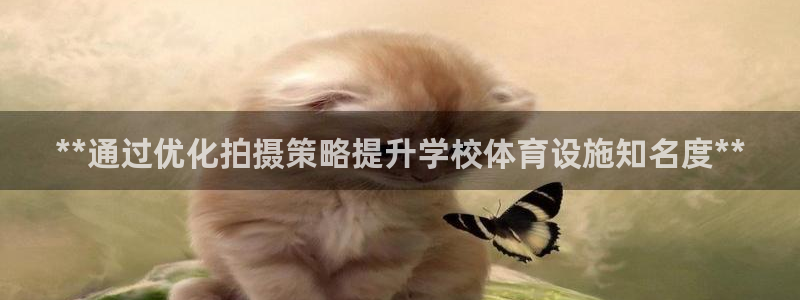 意昂体育3招商电话号码查询是多少：**通过优化拍摄策