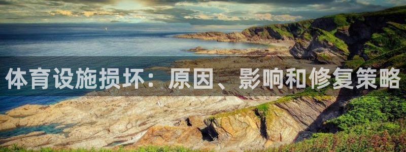 意昂体育3平台假的吗是真的吗吗：体育设施损坏：原因、