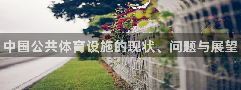 意昂3娱乐网站：中国公共体育设施的现状、问题与展望