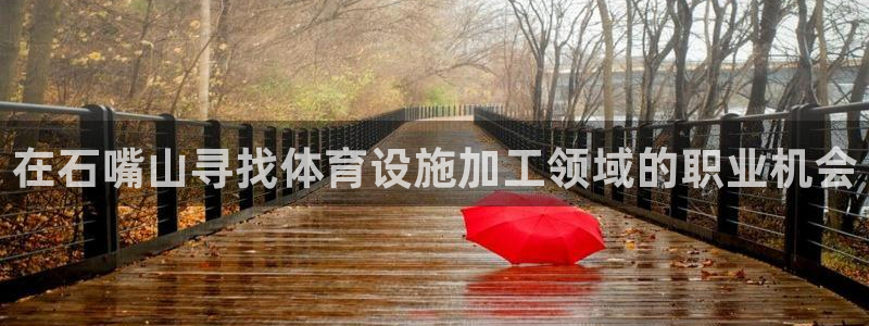 意昂3神州：在石嘴山寻找体育设施加工领域的职业机会