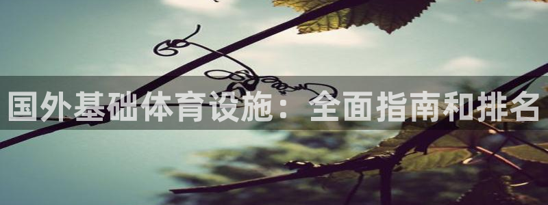 意昂3集团简介：国外基础体育设施：全面指南和排名