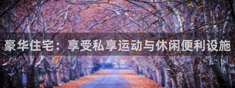 意昂体育3是干嘛的公司：豪华住宅：享受私享运动与休闲