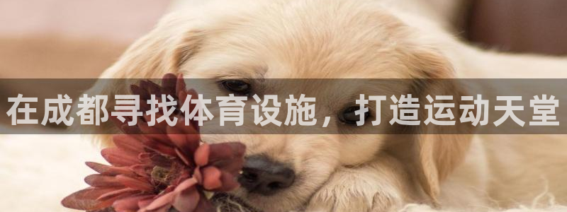意昂体育3平台注册：在成都寻找体育设施，打造运动天堂