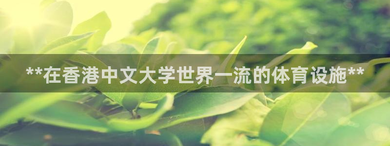 意昂体育3：**在香港中文大学世界一流的体育设施**