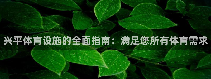 意昂3代理：兴平体育设施的全面指南：满足您所有体育需