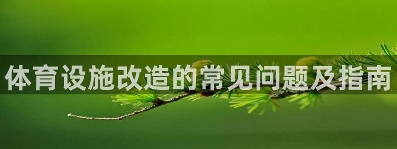 意昂3娱乐平台：体育设施改造的常见问题及指南