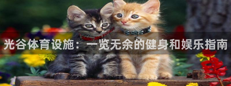 意昂平台体育：光谷体育设施：一览无余的健身和娱乐指南