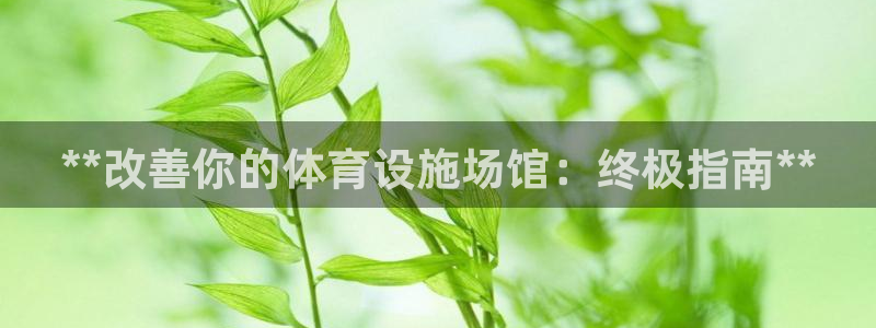 意昂3代理：**改善你的体育设施场馆：终极指南**