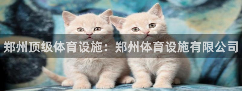 意昂体育3平台注册要钱吗：郑州顶级体育设施：郑州体育