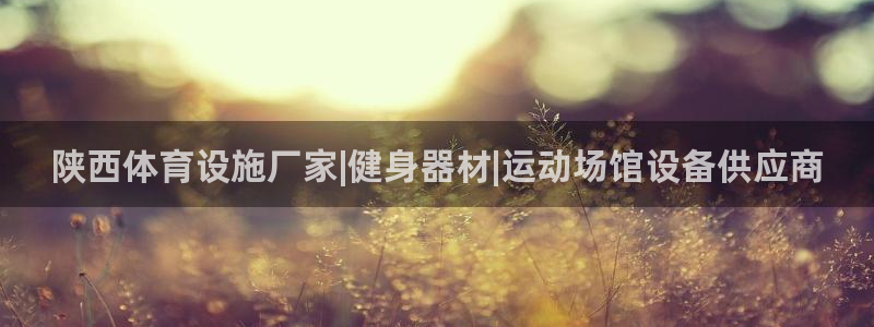 意昂体育3平台：陕西体育设施厂家|健身器材|运动场馆