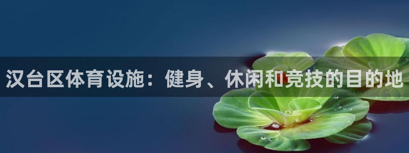意昂3科技：汉台区体育设施：健身、休闲和竞技的目的地