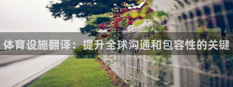 意昂3娱乐网站：体育设施翻译：提升全球沟通和包容性的