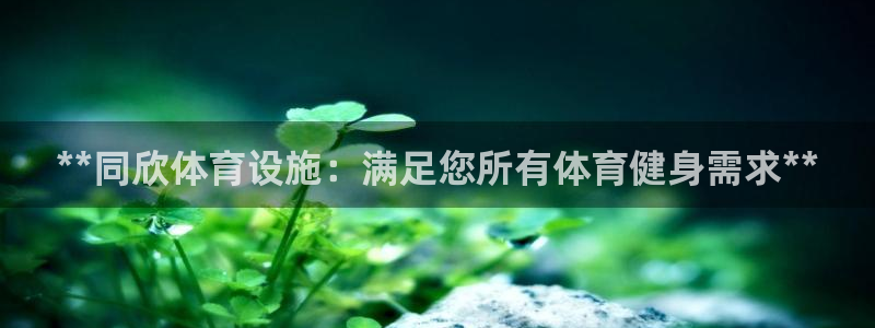 意昂体育3娱乐：**同欣体育设施：满足您所有体育健身