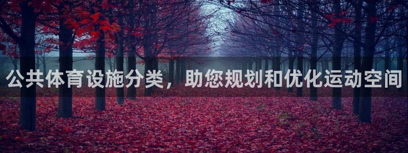 意昂3集团简介：公共体育设施分类，助您规划和优化运动