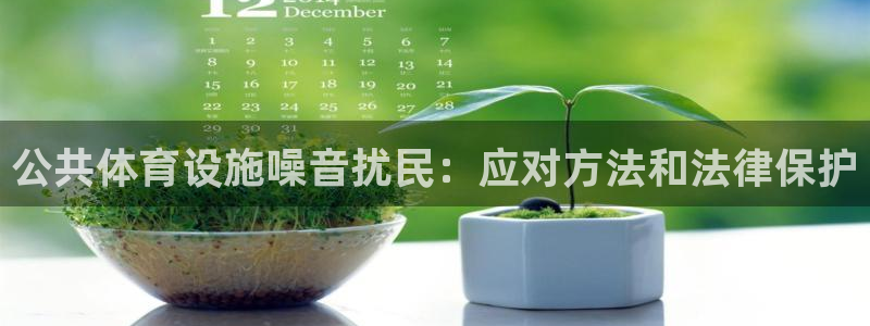 意昂3集团简介：公共体育设施噪音扰民：应对方法和法律