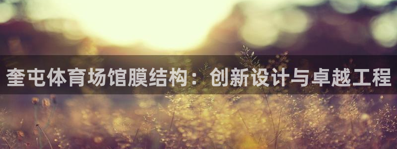 意昂体育3招商电话是多少号码：奎屯体育场馆膜结构：创