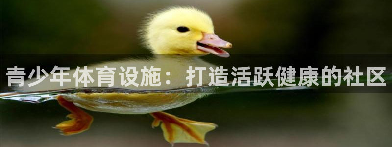 意昂3娱乐是那个系列的台子：青少年体育设施：打造活跃